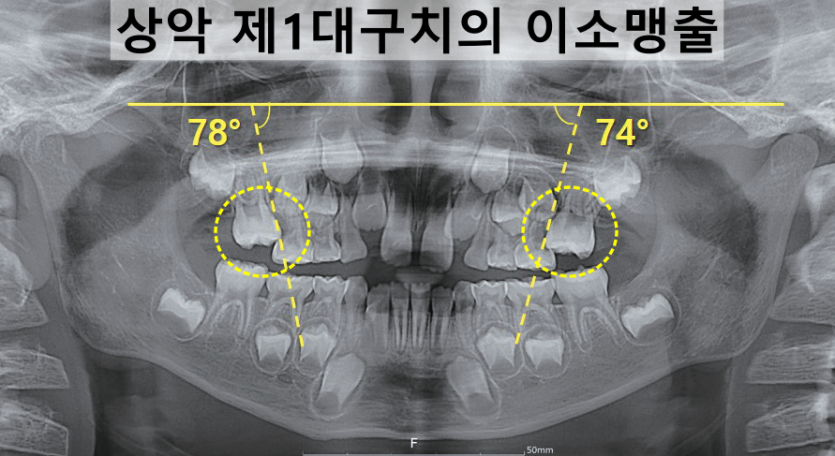 a2abe24143fc80298b499f36d6243719_1778855426_6928.png